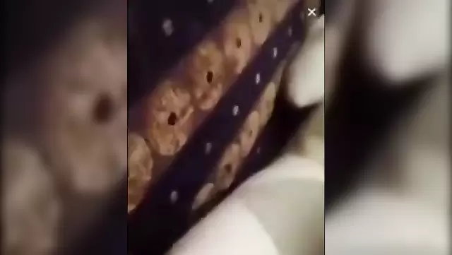 Реальный секс с турчанкой на домашнюю камеру